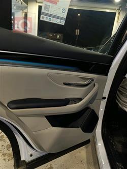 بي واي دي سونغ بلس